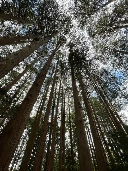 北海道神宮の自然