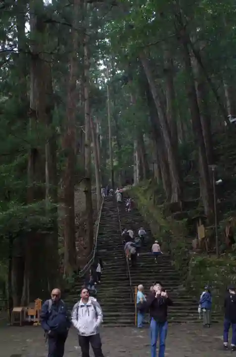 飛瀧神社(熊野那智大社別宮)の{uncategorized: "未分類", other: "その他", undefined: "問題あり", building: "その他建物", grave: "お墓", sacred_gate: "鳥居", guardian: "狛犬", statue: "像", buddha: "仏像", history: "歴史", nature: "自然", garden: "庭園", animal: "動物", pagoda: "塔", temizu: "手水舎", mountain_gate: "山門・神門", sanctuary: "本殿・本堂", subordinate: "末社・摂社", art: "芸術", scenery: "景色", jizo: "地蔵", ema: "絵馬", goshuin: "御朱印", omikuji: "おみくじ", items: "授与品その他", amulet: "お守り", goshuincho: "御朱印帳", eats: "食事", festival: "お祭り", votive_dance: "神楽", shichigosan: "七五三参", wedding: "結婚式", experience: "体験その他", initially: "初詣", around: "周辺", anti_infection: "感染症対策"}