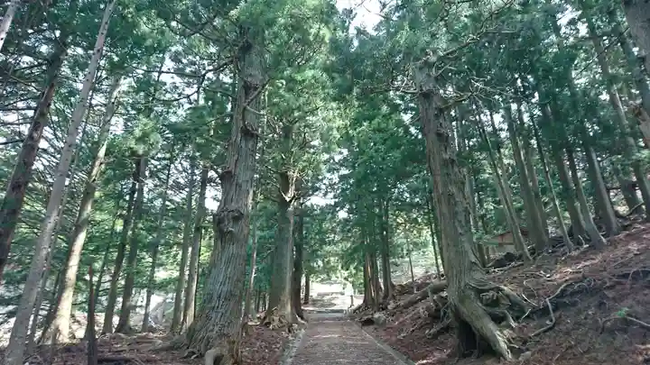 金華山黄金山神社の周辺