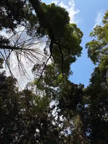 戸隠神社の自然