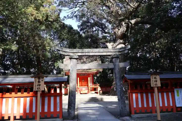 宇佐神宮(大分県)