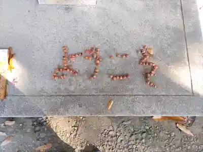 高山神社(群馬県)