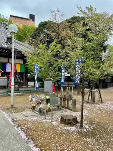 蓮馨寺の{uncategorized: "未分類", other: "その他", undefined: "問題あり", building: "その他建物", grave: "お墓", sacred_gate: "鳥居", guardian: "狛犬", statue: "像", buddha: "仏像", history: "歴史", nature: "自然", garden: "庭園", animal: "動物", pagoda: "塔", temizu: "手水舎", mountain_gate: "山門・神門", sanctuary: "本殿・本堂", subordinate: "末社・摂社", art: "芸術", scenery: "景色", jizo: "地蔵", ema: "絵馬", goshuin: "御朱印", omikuji: "おみくじ", items: "授与品その他", amulet: "お守り", goshuincho: "御朱印帳", eats: "食事", festival: "お祭り", votive_dance: "神楽", shichigosan: "七五三参", wedding: "結婚式", experience: "体験その他", initially: "初詣", around: "周辺", anti_infection: "感染症対策"}