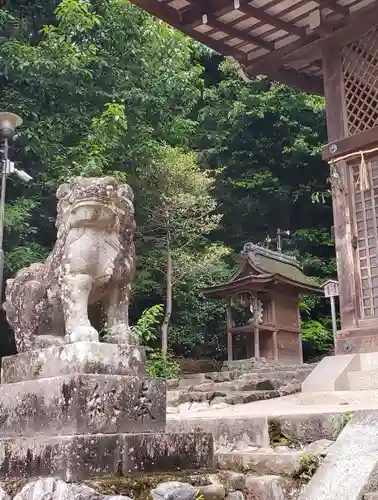 宇治上神社の狛犬