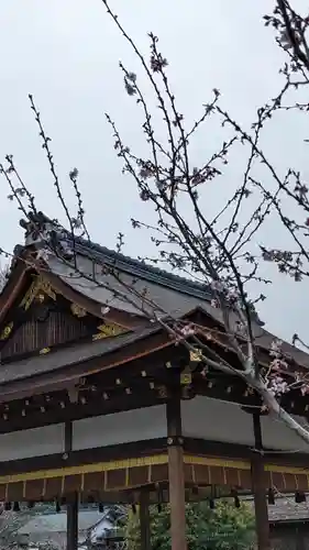 平野神社(京都府)