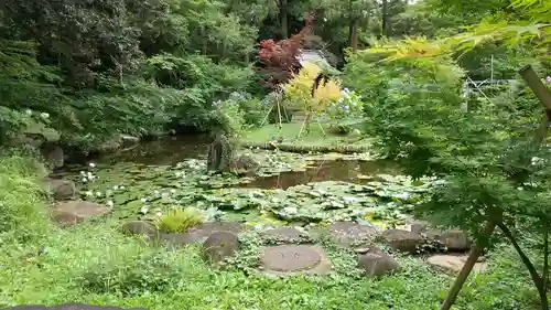 本土寺(千葉県)