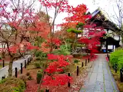 清涼寺(京都府)