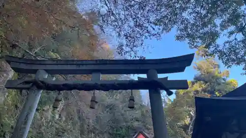厳魂神社（金刀比羅宮奥社）(香川県)