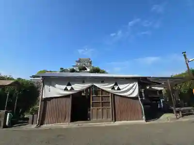 黒長龍王(大阪府)