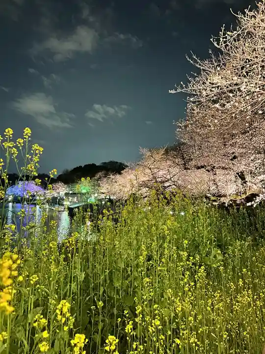 靖國神社(東京都)