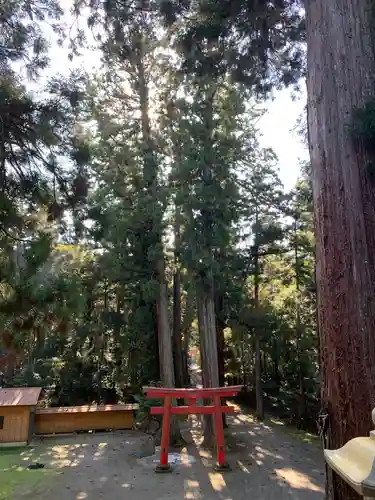 三島神社の自然