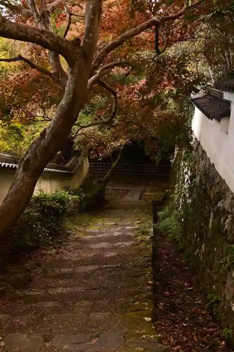 勝持寺(花の寺)(京都府)