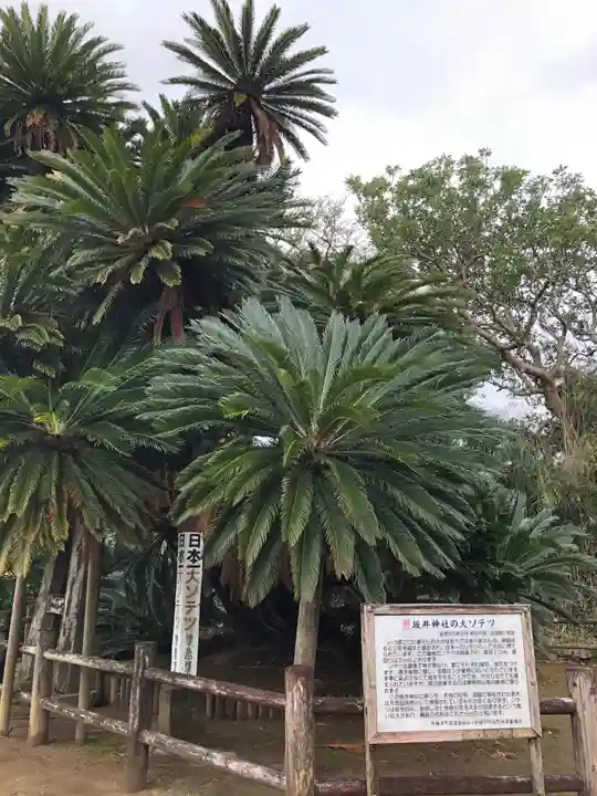 豊受神社の自然