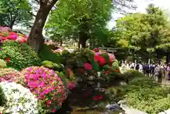 根津神社の庭園