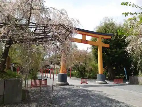 平野神社の鳥居