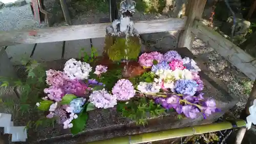 出雲大神宮の手水舎