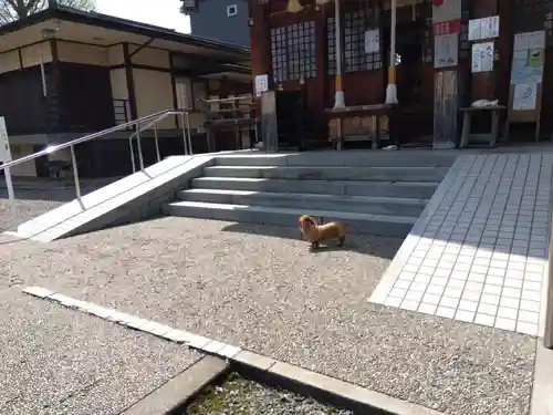 杉杜白髭神社(福井県)