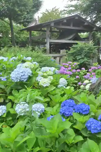 白山神社(東京都)