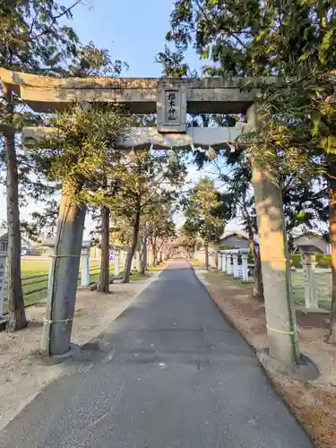 桜木神社の鳥居