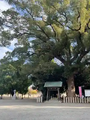 曽禰神社(大阪府)