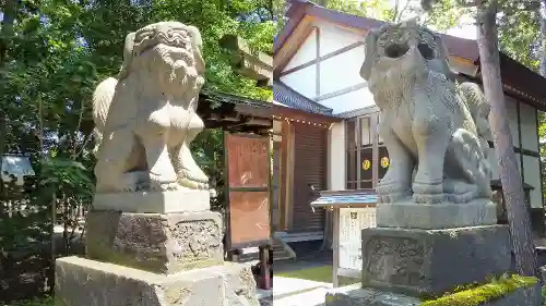 旭川神社の狛犬