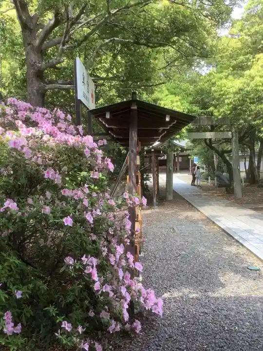 田縣神社の自然
