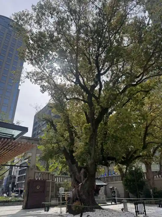 難波神社の{uncategorized: "未分類", other: "その他", undefined: "問題あり", building: "その他建物", grave: "お墓", sacred_gate: "鳥居", guardian: "狛犬", statue: "像", buddha: "仏像", history: "歴史", nature: "自然", garden: "庭園", animal: "動物", pagoda: "塔", temizu: "手水舎", mountain_gate: "山門・神門", sanctuary: "本殿・本堂", subordinate: "末社・摂社", art: "芸術", scenery: "景色", jizo: "地蔵", ema: "絵馬", goshuin: "御朱印", omikuji: "おみくじ", items: "授与品その他", amulet: "お守り", goshuincho: "御朱印帳", eats: "食事", festival: "お祭り", votive_dance: "神楽", shichigosan: "七五三参", wedding: "結婚式", experience: "体験その他", initially: "初詣", around: "周辺", anti_infection: "感染症対策"}