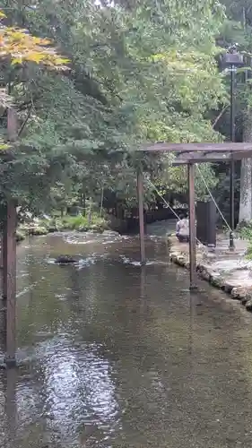 賀茂別雷神社（上賀茂神社）(京都府)