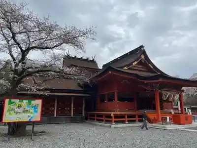 富士山本宮浅間大社(静岡県)