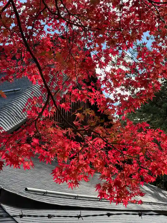 高野山金剛峯寺(和歌山県)