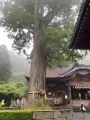 北口本宮冨士浅間神社(山梨県)