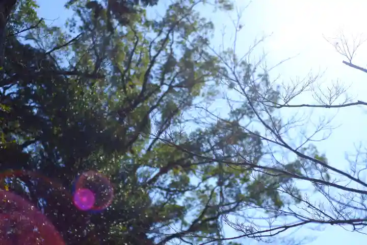 醍醐寺(京都府)