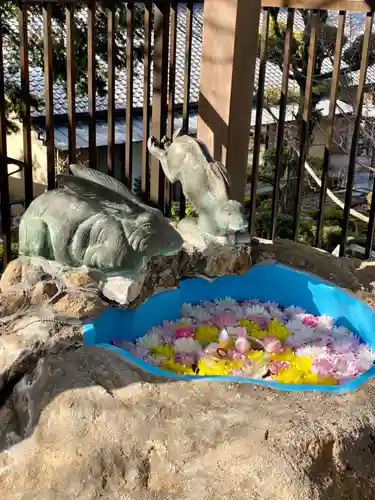 恩智神社の手水