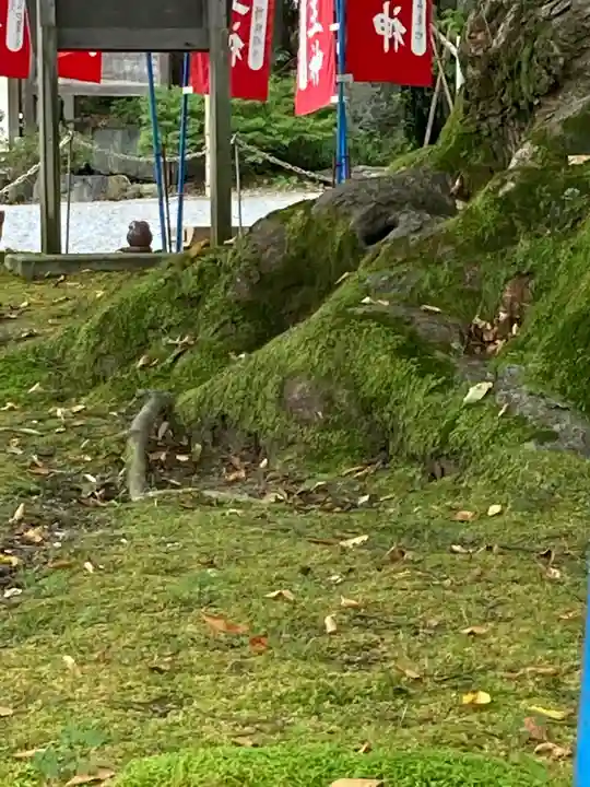 秩父今宮神社の自然