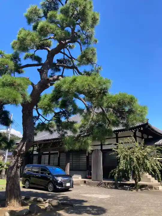 承教寺の本殿・本堂