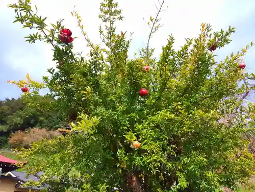 伊勢原 法泉寺(神奈川県)