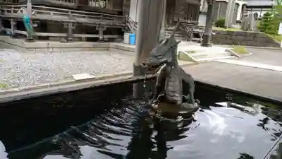 高龍寺の手水舎