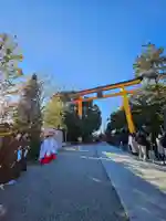 川越氷川神社(埼玉県)