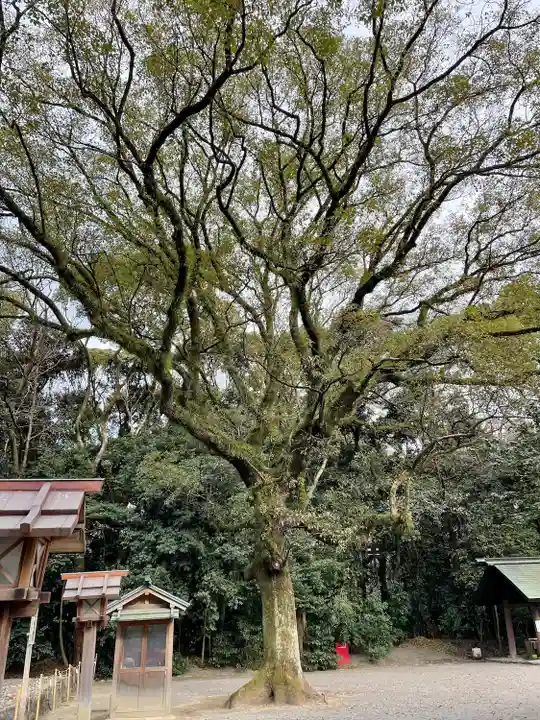 上知我麻神社(熱田神宮摂社)の自然