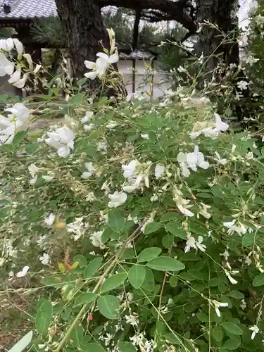 奥田山 安楽寺(愛知県)