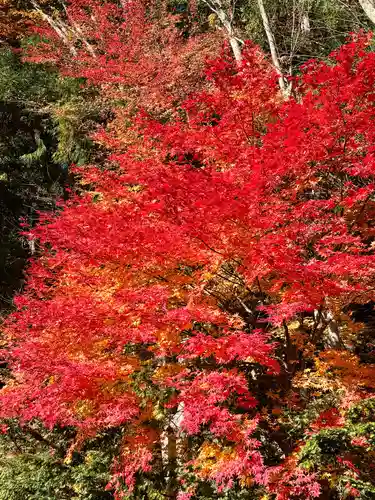 日枝神社(岐阜県)