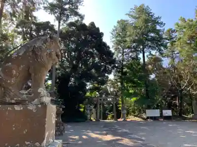 國勝神社の狛犬