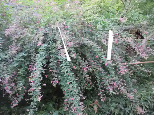 梨木神社の自然