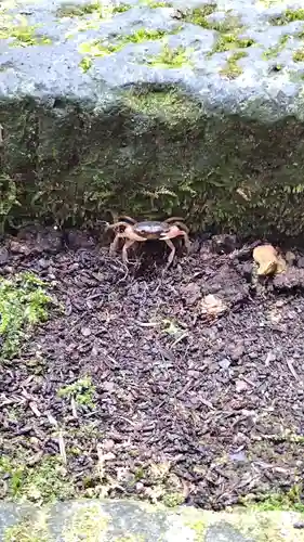 大塩八幡宮(福井県)