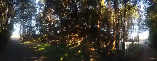 愛宕神社(茨城県)