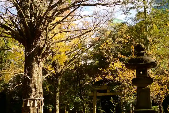 赤坂氷川神社のその他建物