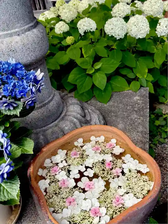 極楽寺(静岡県)