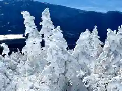 山家神社奥宮の自然