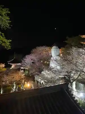 南法華寺（壷阪寺）(奈良県)