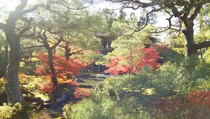 慈照寺(慈照禅寺・銀閣寺)の庭園